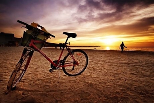 张爱玲最深情的一句话