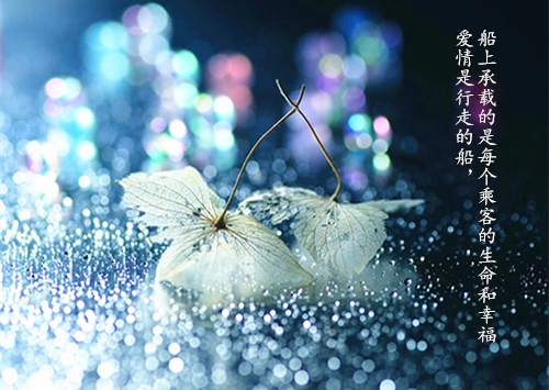 一句话晚安语录正能量短句精选