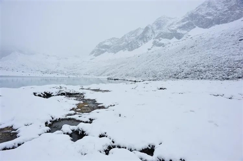 我住的城市下雪了说说